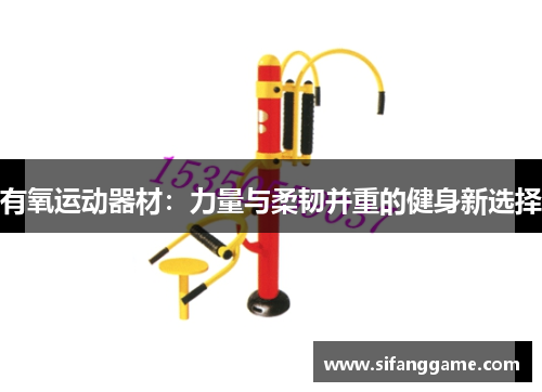 有氧运动器材：力量与柔韧并重的健身新选择