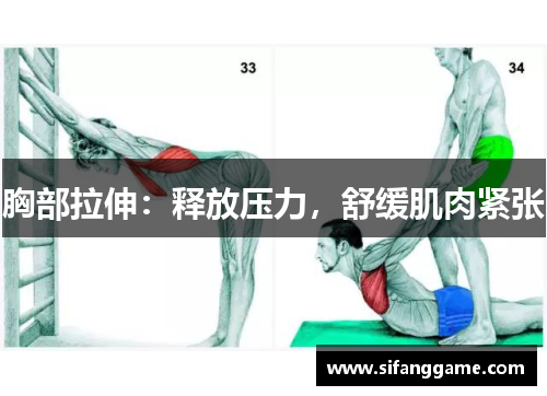 胸部拉伸：释放压力，舒缓肌肉紧张