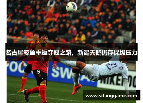 名古屋鲸鱼重返夺冠之路，新潟天鹅仍存保级压力